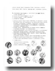 Wstępny projekt sesji literackiej "Bruno Schulz 1892-1942. In Memoriam"