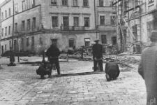 Lublin. Układanie bruku w Rynku