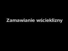 Zamawianie wścieklizny - Czesław Maj - fragment relacji świadka historii [WIDEO]
