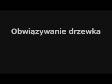 Obwiązywanie drzewek - Czesław Maj - fragment relacji świadka historii [WIDEO]