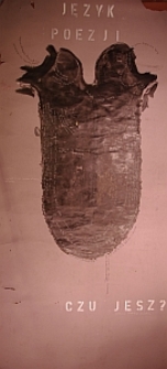 Język poezji: Czu jesz?