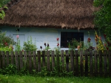 Muzeum Wsi Lubelskiej - ogr&oacute;dek przed chałupą z Urzędowa