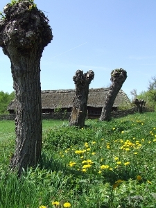 Muzeum Wsi Lubelskiej &ndash; zagroda z Janiszowa
