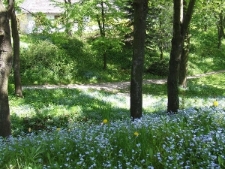 Muzeum Wsi Lubelskiej &ndash; wąw&oacute;z