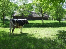 Muzeum Wsi Lubelskiej &ndash; zagroda z Tarnog&oacute;ry