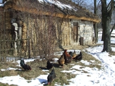 Muzeum Wsi Lubelskiej - chałupa z Tarnog&oacute;ry