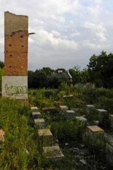 Młyn parowy Kośmińskiego w Lublinie