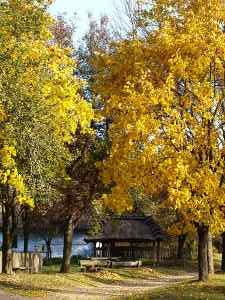 Muzeum Wsi Lubelskiej - studnia z Błażka