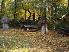 Muzeum Wsi Lubelskiej - ule w zagrodzie z Korytkowa Dużego