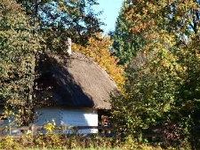 Muzeum Wsi Lubelskiej - jesienny widok na chałupę z Urzędowa