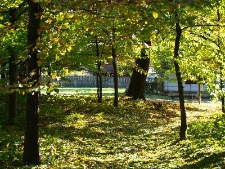 Muzeum Wsi Lubelskiej - jesienny widok na zagrodę z Bukowej