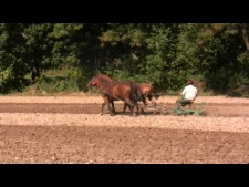 Orka i bronowanie ziemi w Muzeum Wsi Lubelskiej