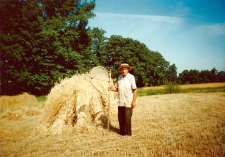 Czesław Maj w trakcie żniw