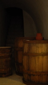 Podziemia - ekspozycja