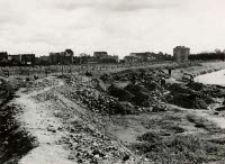 Budowa wału obronnego przy Bystrzycy w Lublinie. Fotografia