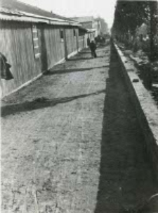 Roboty ziemne na alejach Racławickich w Lublinie