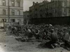 Prace przy przesklepieniu Czech&oacute;wki w Lublinie. Fotografia