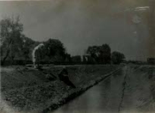 Prace przy regulacji rzeki Czechówki w Lublinie. Fotografia