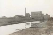 Rzeka Bystrzyca w Lublinie. Fotografia