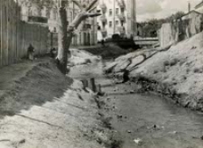 Regulacja rzeki Czech&oacute;wki w Lublinie