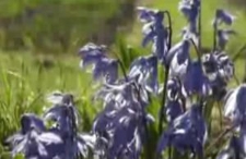 Sławin: Ogr&oacute;d Botaniczny