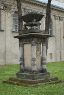 Kości&oacute;ł ewangelicko-augsburski, pw. św. Tr&oacute;jcy w Lublinie, widok cmentarza. Fotografia