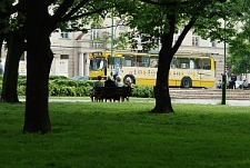 Trolejbus Poezji na Placu Litewskim