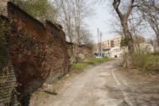 Stary cmentarz żydowski w Lublinie. Fotografia