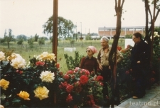 Krystyna Modrzewska z prof. J.A.B&ouml;&ouml;kiem i J.Backman podczas pobytu w Grecji