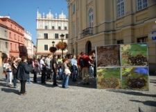 Społeczny odbi&oacute;r wystawy "Krajobraz miasta"