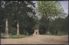 Dawny widok Ogrodu Saskiego w Lublinie, od Al. Racławickich