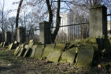 Macewy na nowym cmentarzu żydowskim w Lublinie