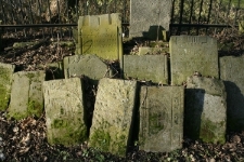 Macewy na nowym cmentarzu żydowskim w Lublinie