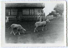 Lidia Tkaczuk, Maria Tkaczuk, Halina Rusinek