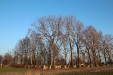 The view on the Jewish cemetery in Łomazy