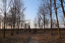 The area of the Jewish cemetery in Łomazy