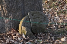 The area of the Jewish cemetery in Łomazy, a gravestone