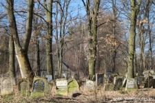 Jewish cemetery in Szczebrzeszyn