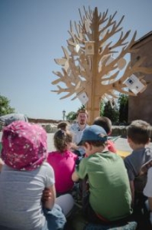 Drzewo opowieści na Placu Farnym w Lublinie