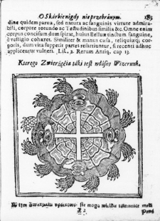 Ilustracja przedstawiające niezwykłe zwierzę w kt&oacute;rym zawiera się Męka Pańska z "Skarb nigdy nie przebrany kościoła swiętego katholickieg"