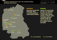 Rodzaje lokowanych miast na Lubelszczyźnie. Infografika