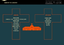 Zakony w Lublinie. Infografika