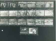 Wgląd&oacute;wka, 1 - 20 Migawki