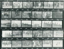 Wgląd&oacute;wka, 1 - 30 Święta w Lublinie