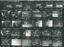 Wgląd&oacute;wka, 1 - 30 3xR