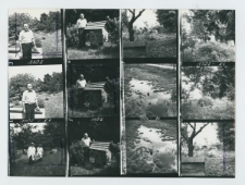 Wglądówka, 1 - 12 Pasieka w Pożogu