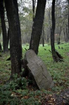 Stary cmentarz żydowski w Dukli