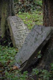 Stary cmentarz żydowski w Dukli