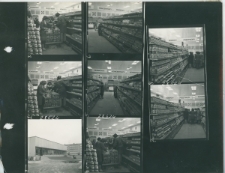 Wgląd&oacute;wka, 1 - 8 Nowy Pawilon Handlowy w osiedlu Czech&oacute;w