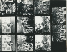 Wgląd&oacute;wka, 1 - 9 Wojew&oacute;dzkie dożynki w Opolu Lubelskim